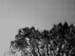 PICT1754bw